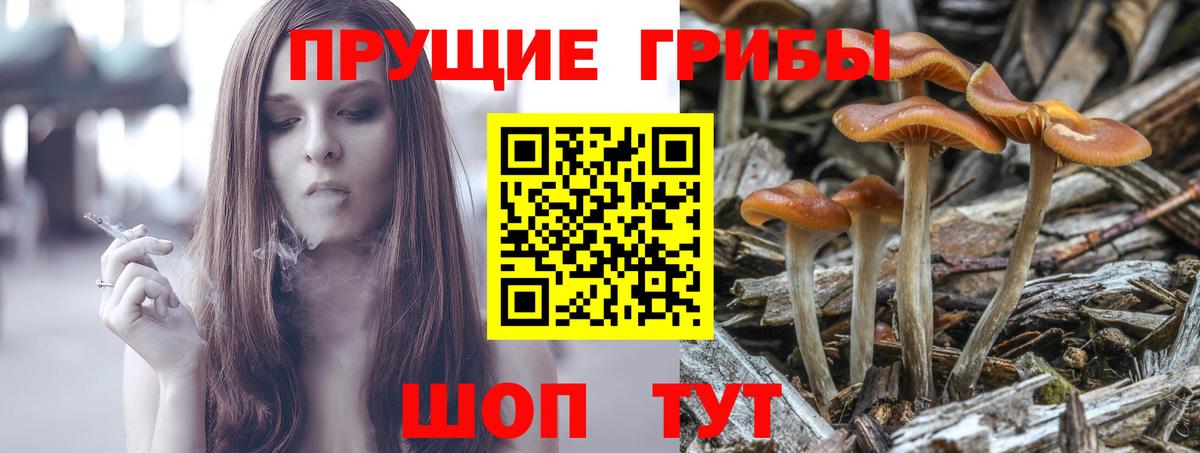 Псилоцибиновые грибы мухоморы  Псилоцибиновые грибы Cubensis  Вход с VPN  Нерюнгри 